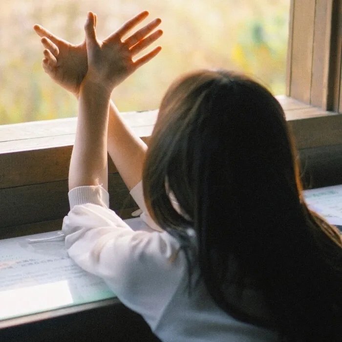 火线追凶之无罪辩护